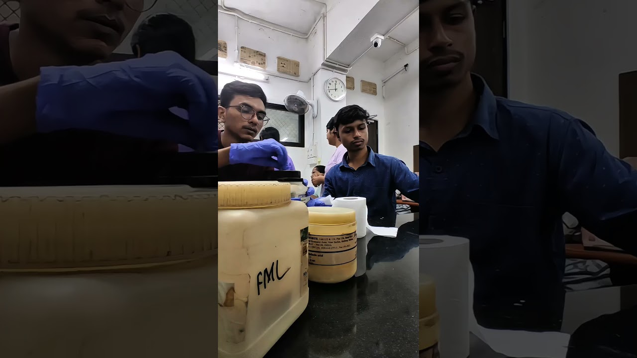 Day 7 as Research Intern at IIT Bombay... 