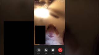 I Never Seen Hamster Calling Me Before