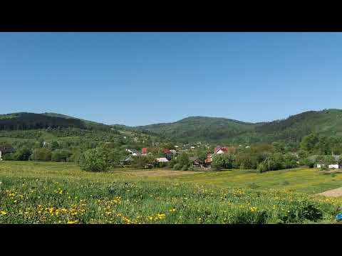 трансляція