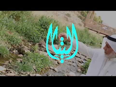 علي بن أبي طالب هو الصديق الأكبر 