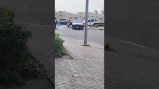 #music #snow #livewallpaper #winter #song #waifu #automobile #lifeisbutadream #dancesong #birds