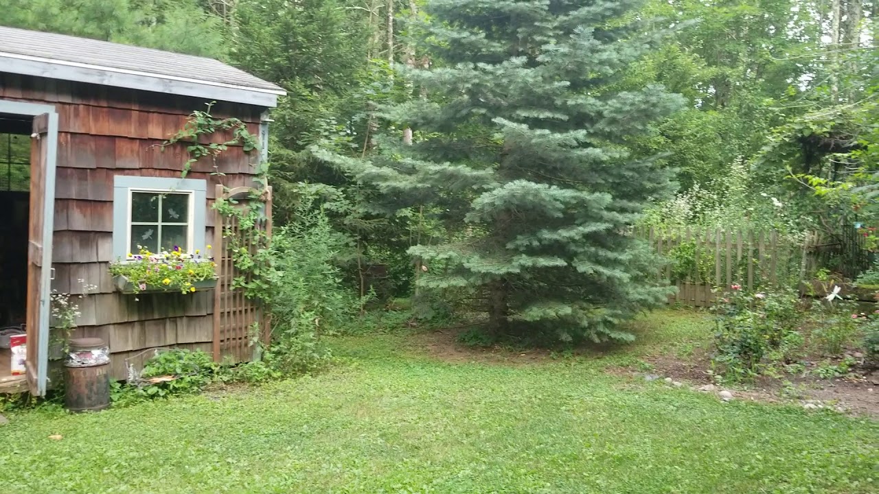 Dragonfly Hill SE view - YouTube