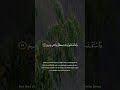 Surah Surah 14 | Salah_Al_Budair Recitation الشيخ صلاح البدير  ️#QuranShorts #قرآن