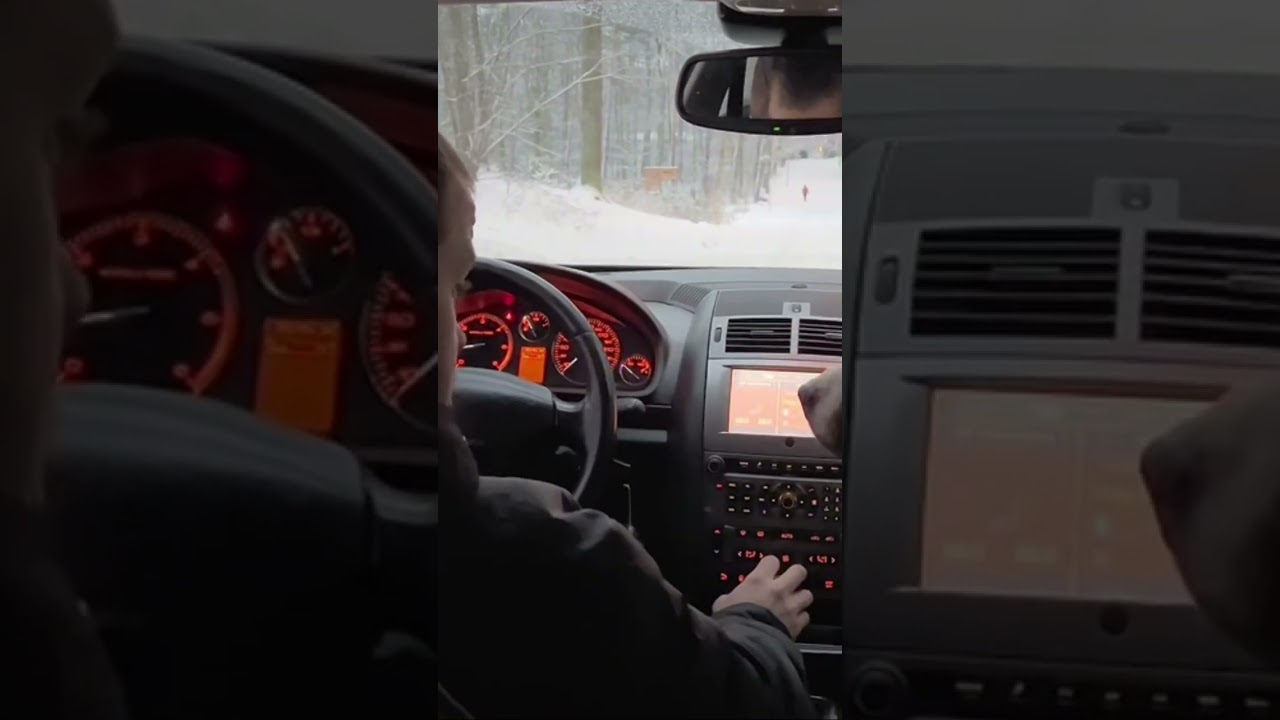 Pies za kierownicą, lekcja 1 