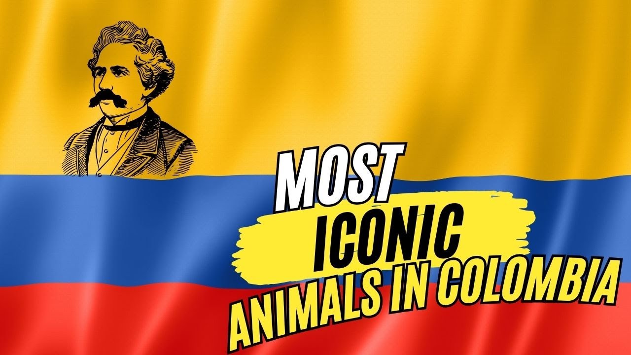 Most representativ animals in Colombia