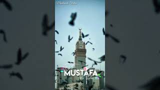 Lahi Laha Illah Status  Islamic Status  Allah Hu naat jumma status eid mubarak shorts 100