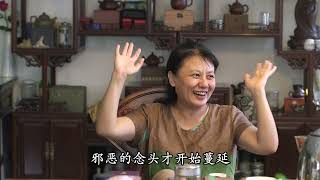 杨宁:爱在那儿