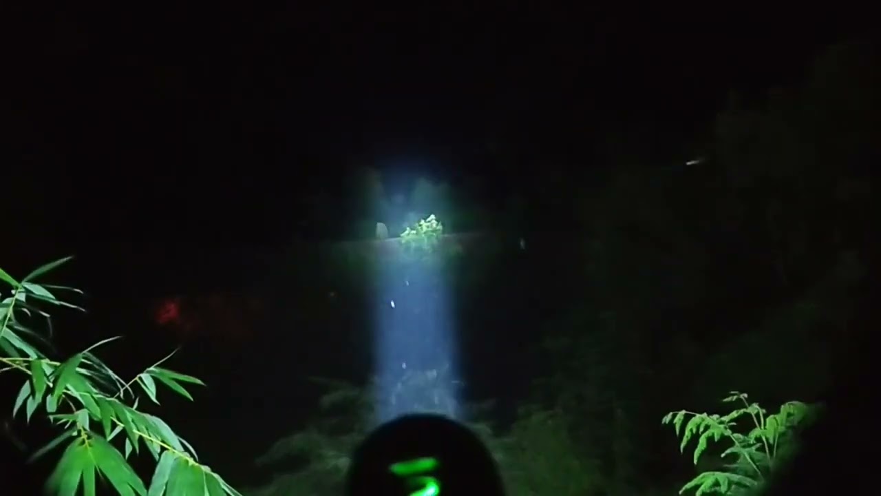 เทสแสง Starfish Z3