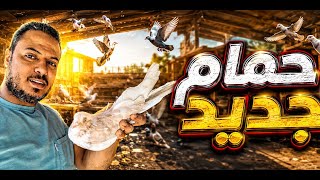 اشتريت حمام جديد💥وحمام جديد باض🔥وليلة كبيرة🤩