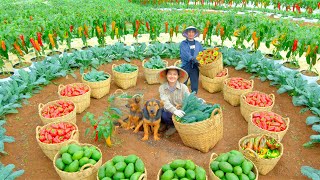 Download Lagu Relax With Harvest: Butter Avocado, Dinosaur Kale, Bell Pepper, Chocolate Pepper, Hairy Ginseng MP3