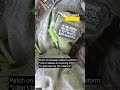Everything That You Should Know About Russian Soldiers #warinukraine