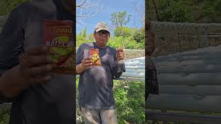 Paneles Solares, Hidroponía y  @Coca-Cola  Así es el trabajo de campo!  #PanelesSolares #Hidroponia
