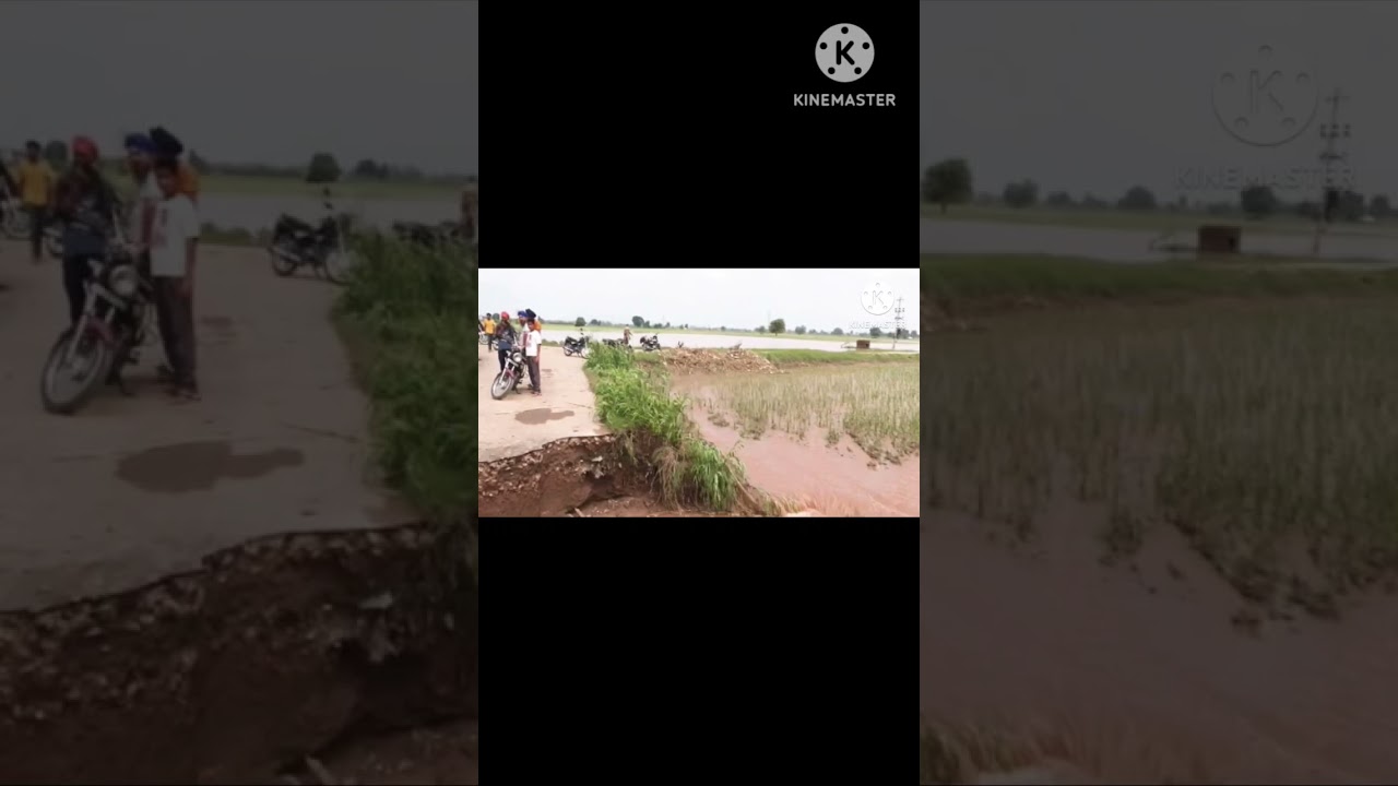 ‪@thegreentech1237‬