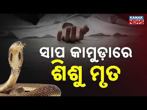 Odisha Rain Alert | Chilika Kidnap Mystery | Colombia Earthquake Updates | 9AM Headlines