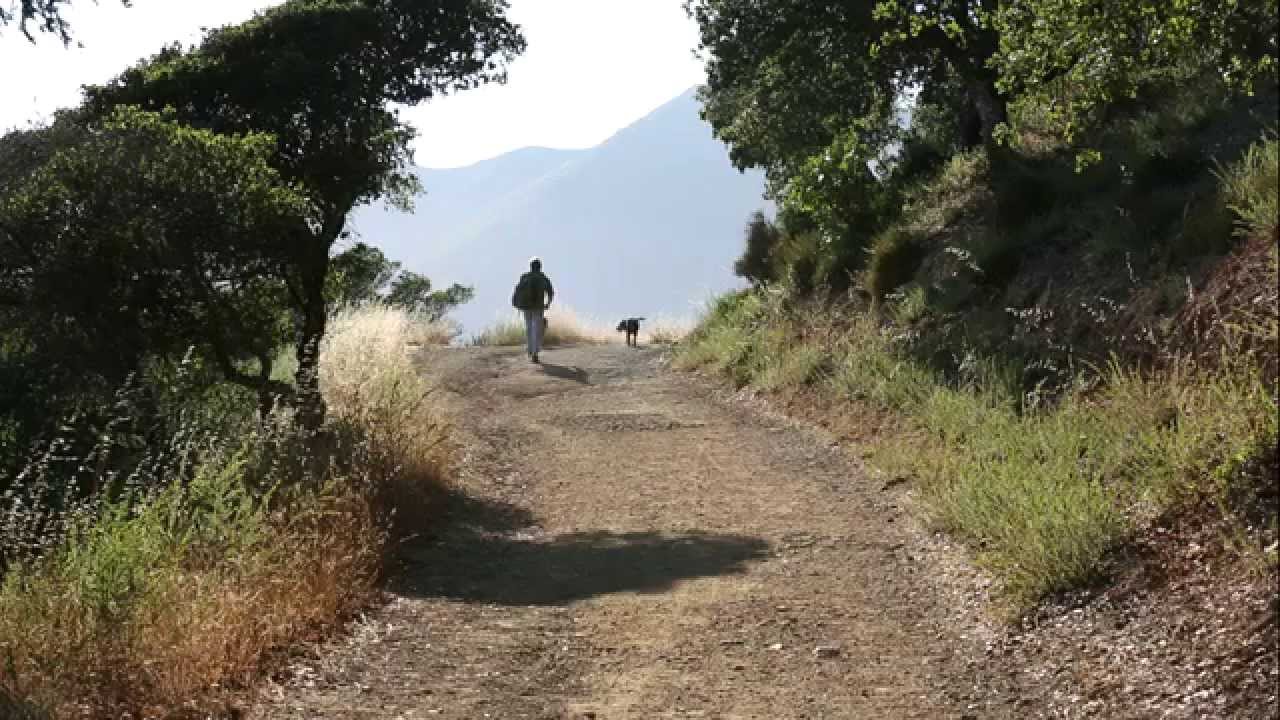 Your Healing Place - Stroke | Marin General Hospital