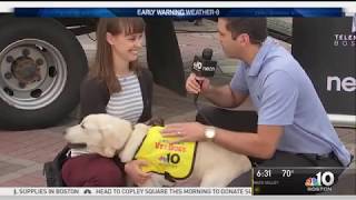 7 11 18 NBC 10 Boston Puppy Brady Live with Weather Warrior