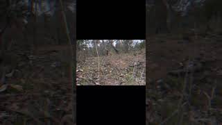 Epic RC Helicopter crashes!