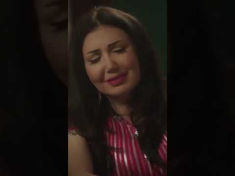 بلبل الحشاش.. وخدمة العملاء#shorts