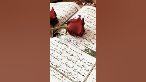 🌷لا تهرب من القرآن الكريم لعلا الله يعطيك الصحه والعافيه لن جميع 🌷