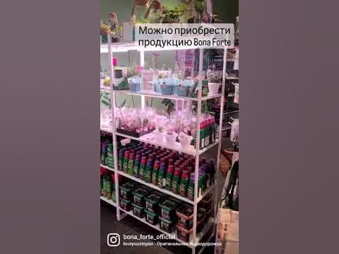 Заповедное посольство в Зарядье #shorts - YouTube
