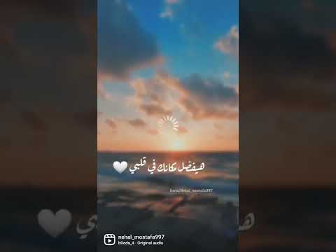 هيفضل مكانك في قلبي عمرو دياب مكانك في قلبي حالات واتساب عمرو دياب