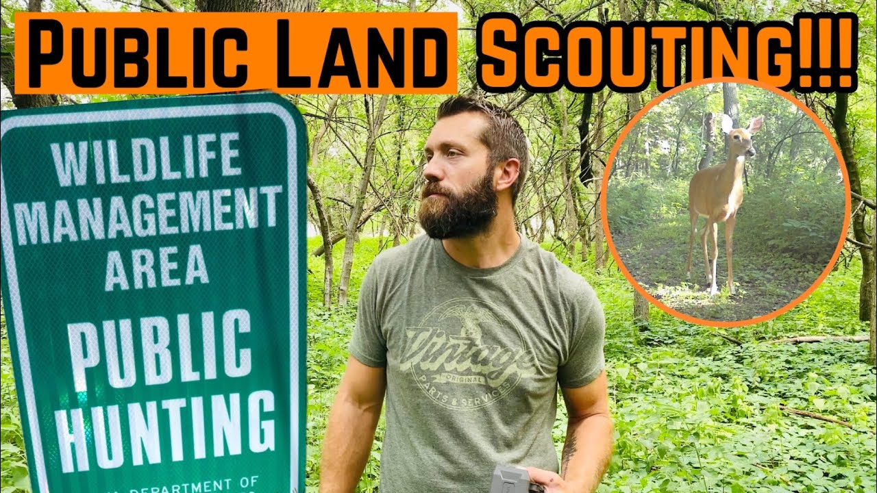 FIRST Time SCOUTING Public Land And INSTALLING My Camojojo Wireless ...