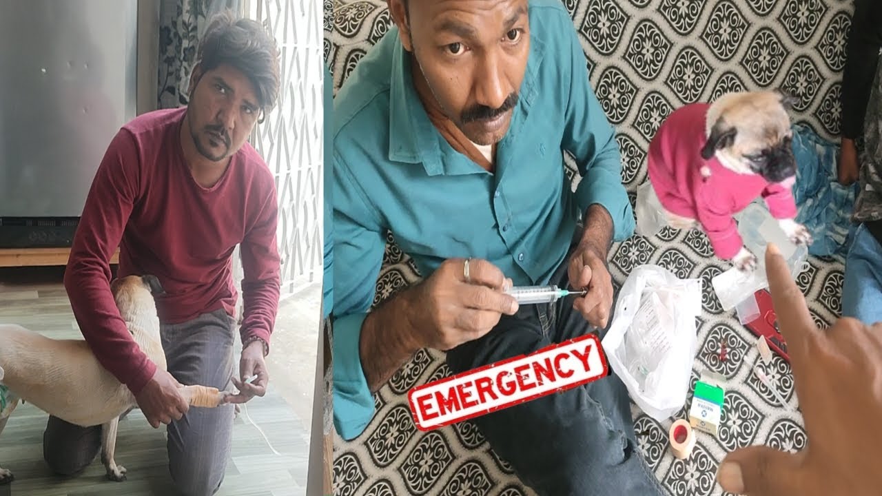 Dog ko Emergency Injection Lagane Pady | My Dog in Danger | Mitha pets vlog