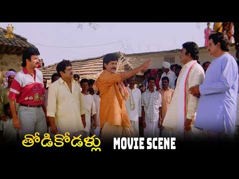 Thodi Kodallu Movie Scenes | Suresh, Malashri, Vani Viswanath, Sudhakar | Telugu Movies | SP Shorts