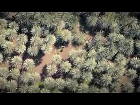 يا ربى بجاه النبى ازح الغمه 