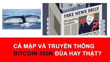 #249: Cá mập và truyền thông, thấu hiểu và làm chủ bản thân