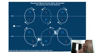 3   Equatorial Waves and Cyclogenesis