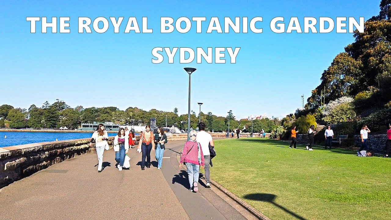 Exploring THE ROYAL BOTANIC GARDEN Sydney Australia YouTube Exploring THE ROYAL BOTANIC GARDEN Sydney Australia YouTube