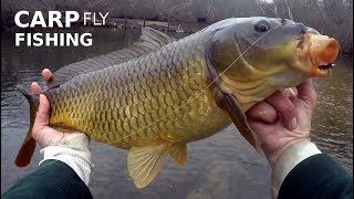 Fly Fishing for CARP on Bushy Black & Olive Tail WOOLLY BUGGERS