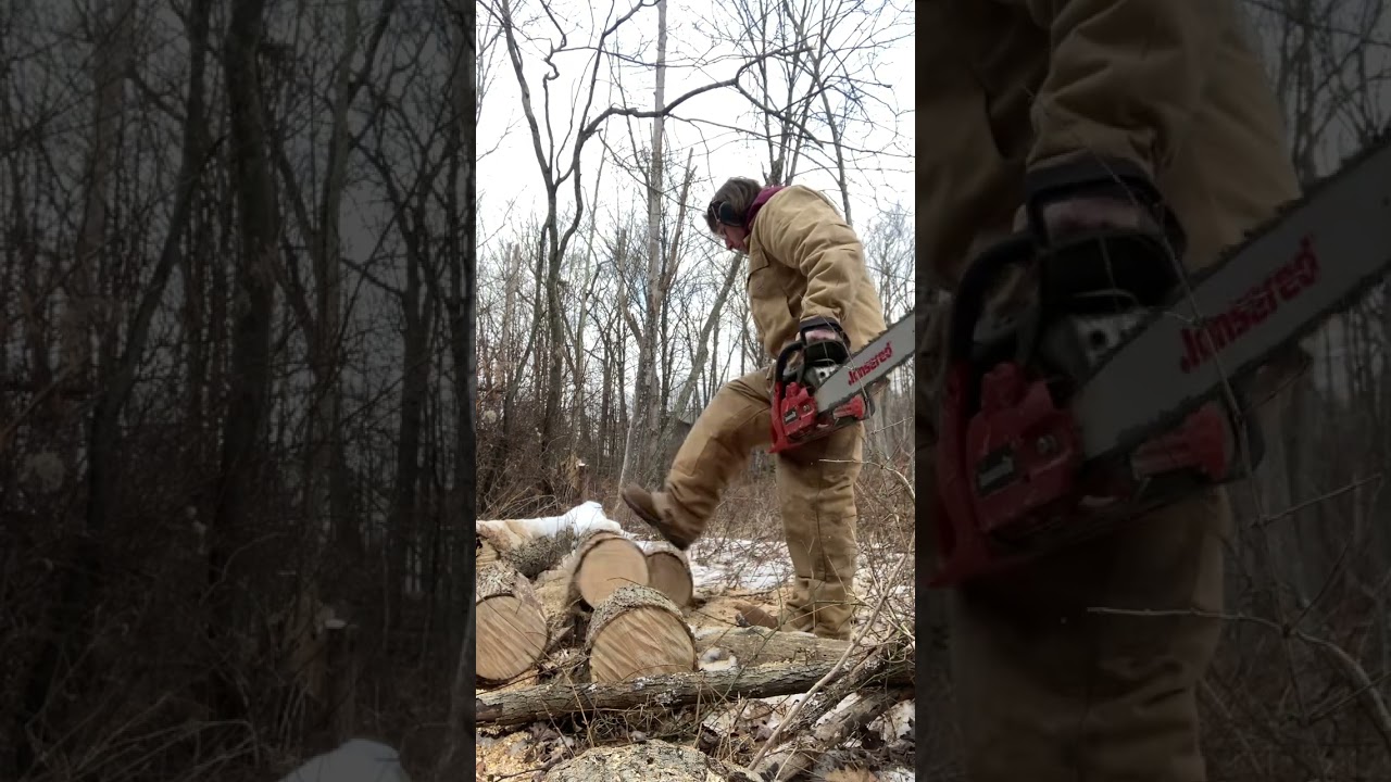 Cutting an Ash Tree up for firewood  January 30 2025   Harvey’s Lake PA