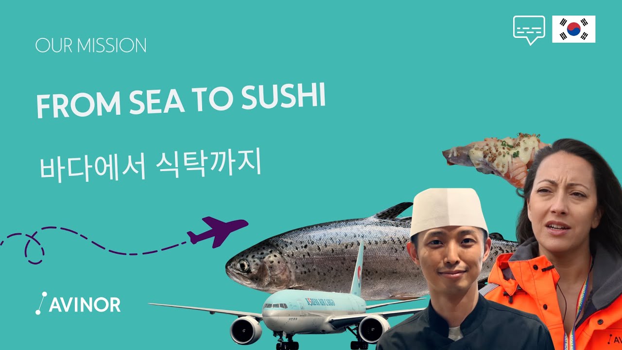 FROM SEA TO SUSH I바다에서 스시까지