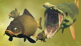 ЭВОЛЮЦИЯ КАРПА В БОЛОТЕ, ВЫЖИВАНИЕ СТАИ КАРПОВ! | Feed and Grow Fish