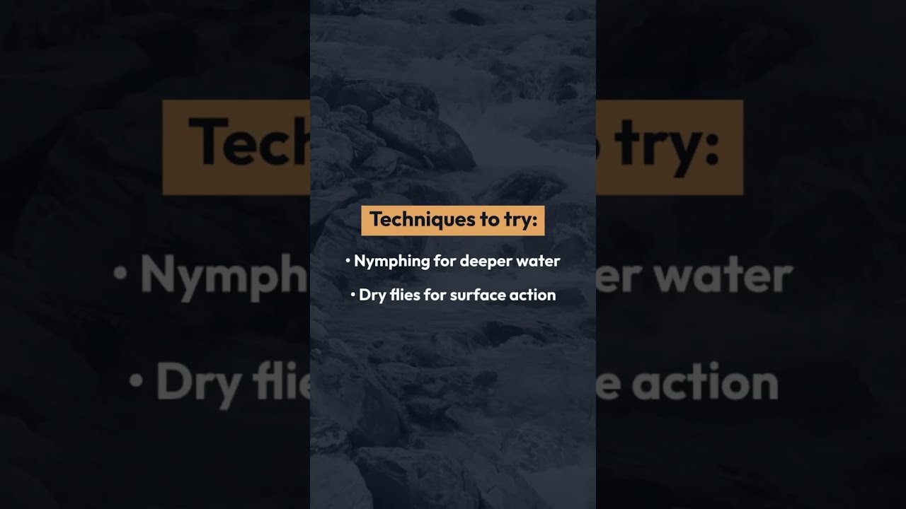 Fly Fishing in Colorado: Ultimate Guide to Top Spots & Tips