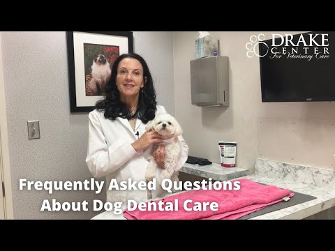 Video: „Pet Dental Care“101: atsakymai į dažniausiai užduodamus klausimus