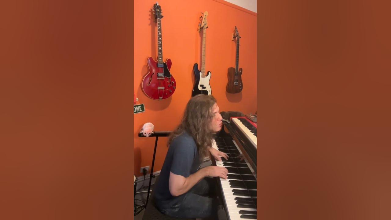 THE ROLLING STONES - Paint It Black ♠️ #piano  #scottchasolen #platypus #shorts #pleasesubscribe 🎵✨