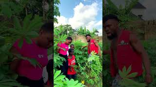 Watch Bush Girls And Boys video