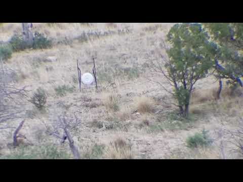 6.5 creedmoor @502 yards, ray - YouTube