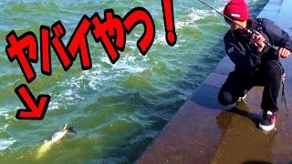 【バス釣り】アメリカンモンスター再来！。。霞ヶ浦春の釣り！