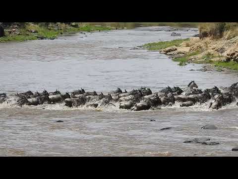 Wage War - Death Roll