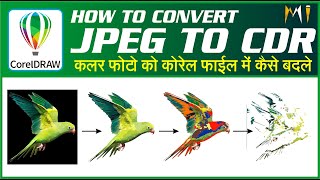 CONVERT JPEG TO CDR TRACING IN COREL DRAW