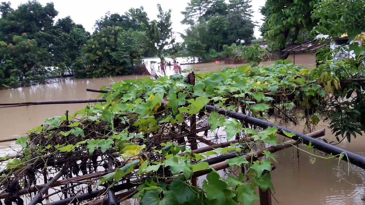flood in bihar 2017