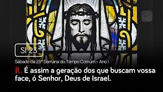 Vídeo de SALMO 23(24) - É ASSIM A GERAÇÃO DOS QUE BUSCAM VOSSA FACE, Ó SENHOR, DEUS DE ISRAEL. (Pocket Terço - Marcela Buback)