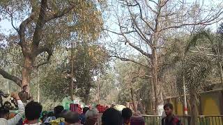 Video 20250218 110359
