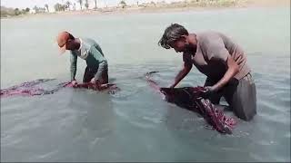 The Ancient Art Of Sindhi Ajrak Making Streets Of Stan