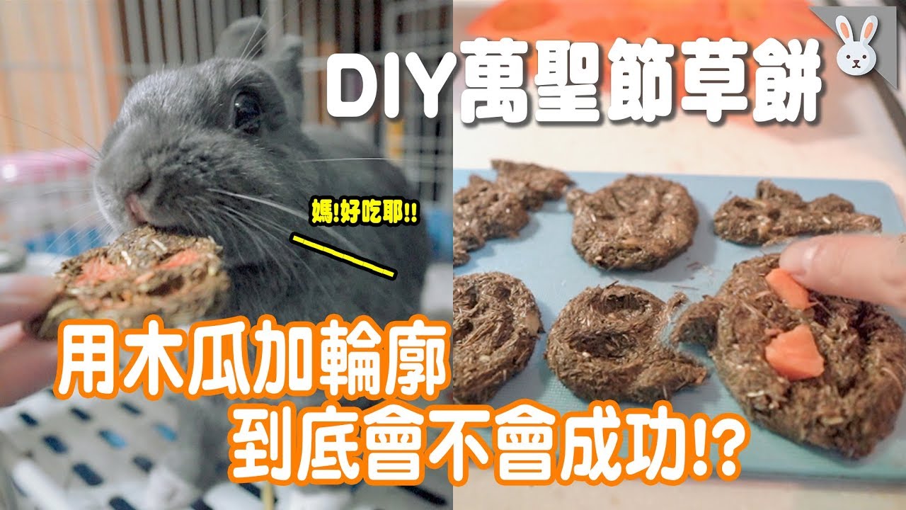 挑戰萬聖節草餅！用木瓜做出表情輪廓，究竟會不會成功呢....｜兩隻胖兔兔 侑敏yomin