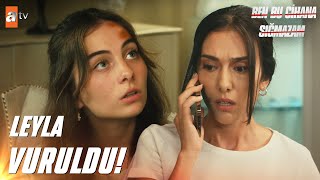Leyla'nın haberi geliyor! - Ben Bu Cihana Sığmazam 3. Bölüm